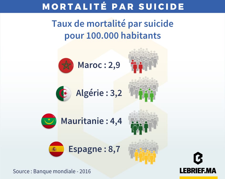 Suicide : le fléau silencieux 1 Statistiques suicides pays