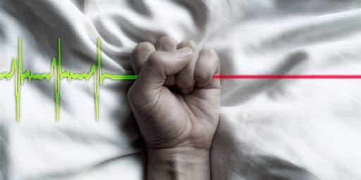 L'euthanasie (image d'illustration) © Maxppp