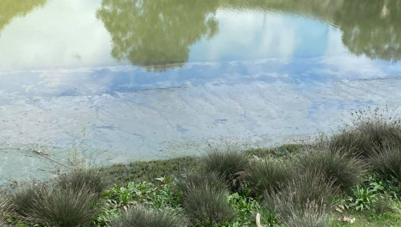 Rive du fleuve Bouregreg © Abdellatif Soudou, élu de la ville de Salé