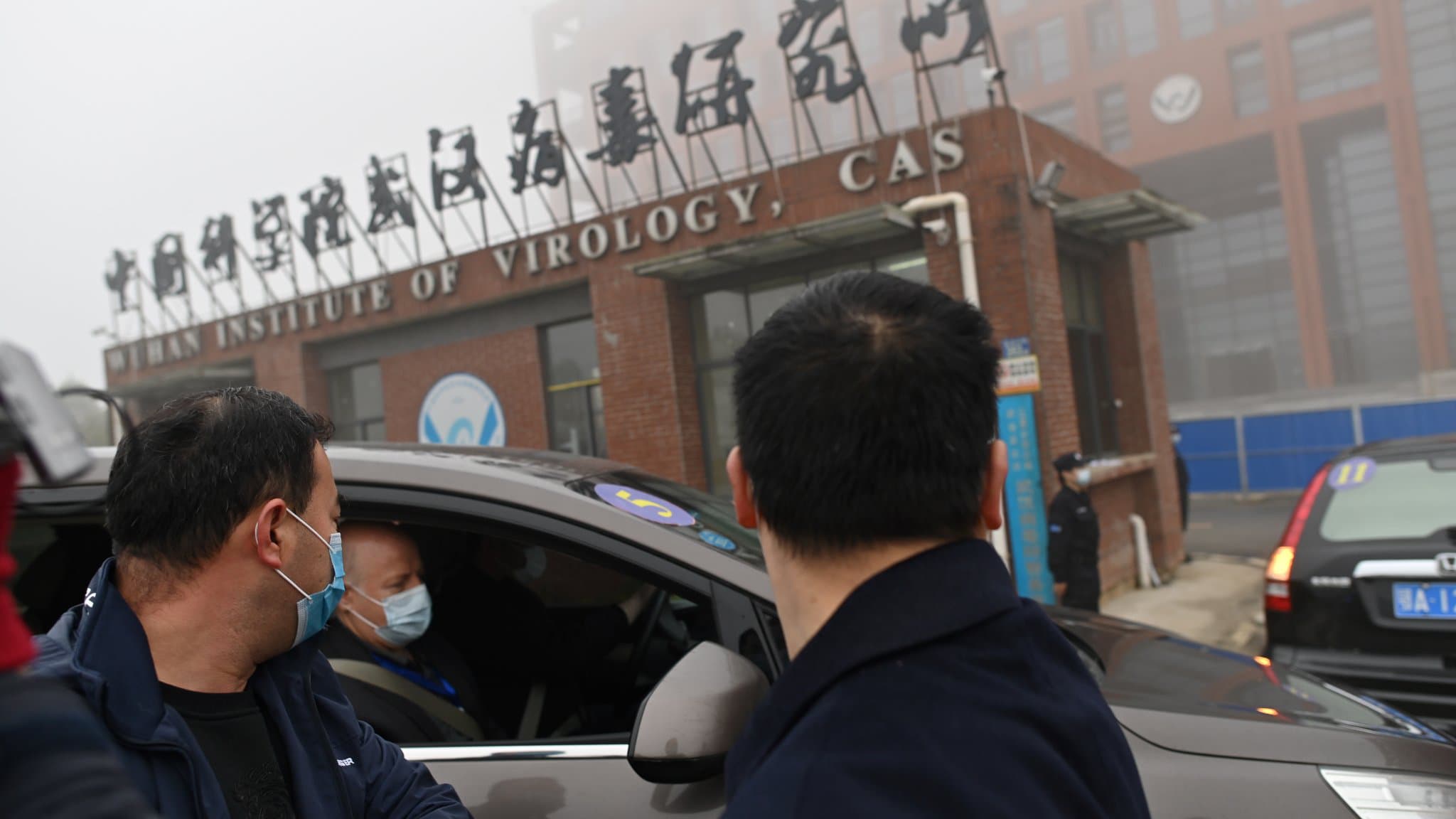 Des membres de l'équipe de l'Organisation mondiale de la santé (OMS) enquêtant sur les origines du coronavirus arrivent en voiture à l'Institut de virologie de Wuhan (WIV), dans la province centrale du Hubei, en Chine, le 3 février 2021 © AFP