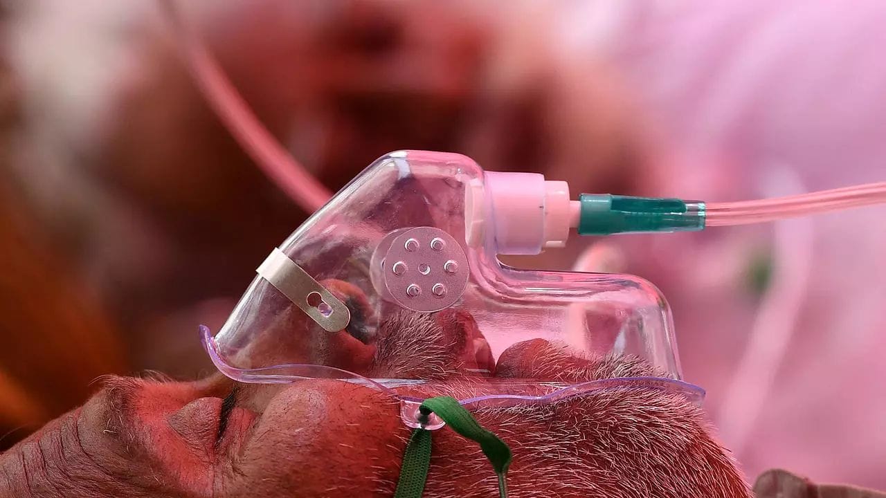 inde_malade Inde : déblocage de 6,7 milliards $ en faveur du système de santé