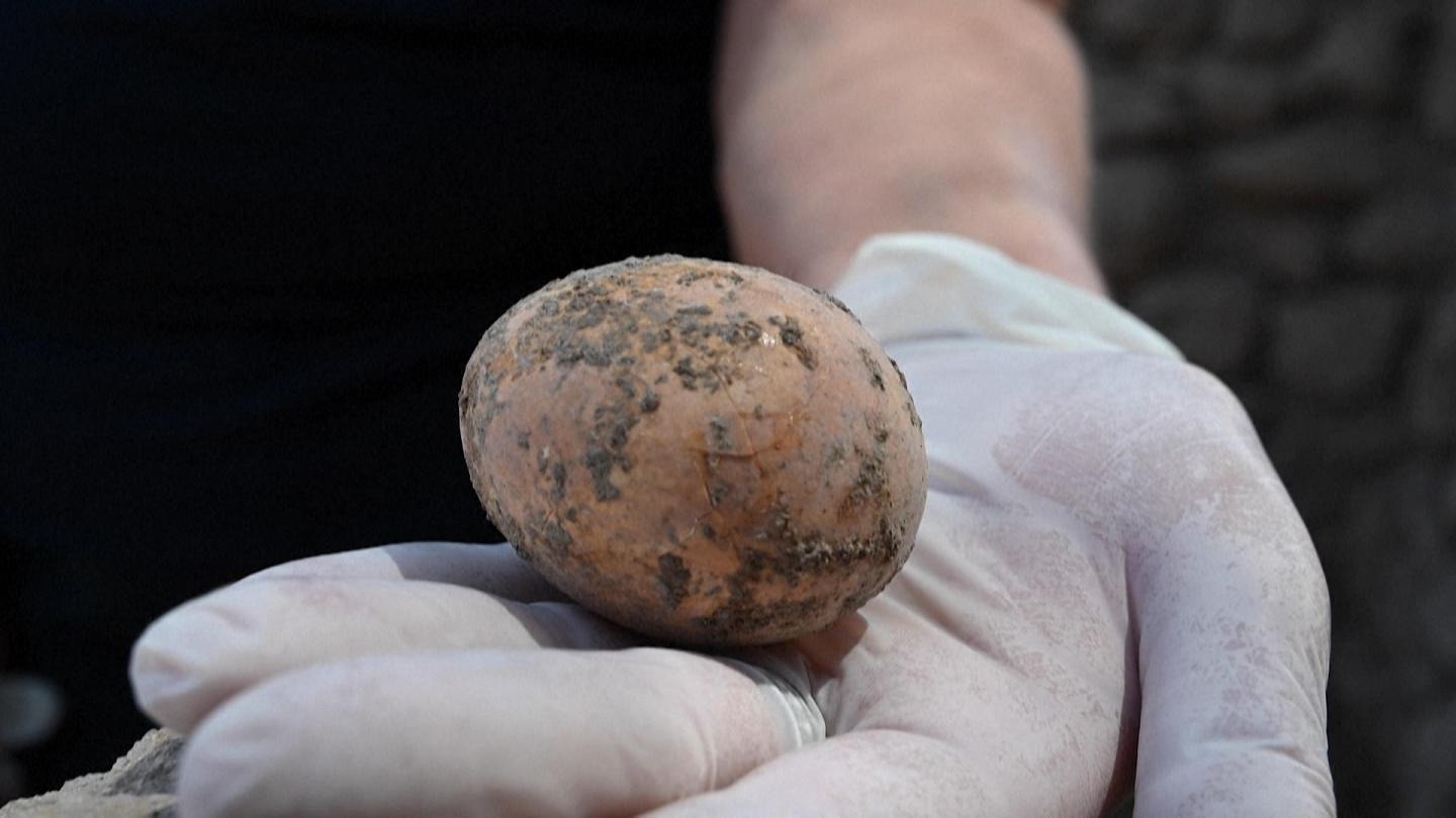 Un œuf vieux de 1000 ans découvert en Israël