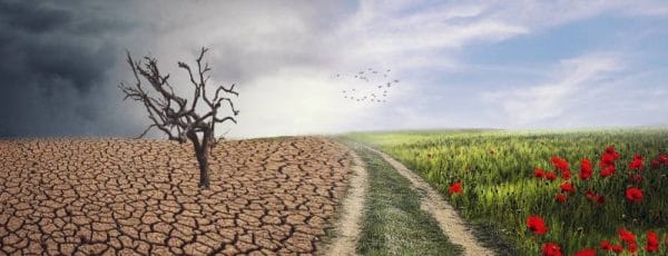Changement climatique : l’Afrique de l’Est fortement menacée