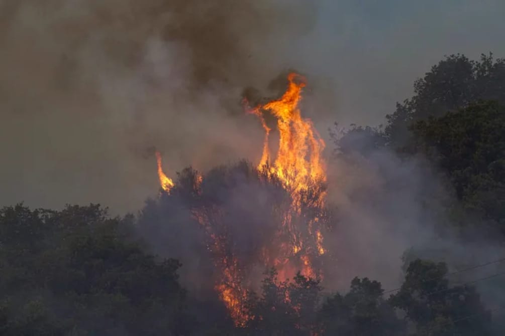 Italie : des feux de forêt ravagent la Sardaigne 