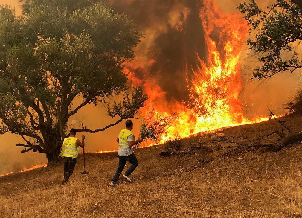 Incendies en Algérie : le président ignore la main tendue du Maroc 1 Incendie en Algérie : le président ignore la main tendue du Maroc