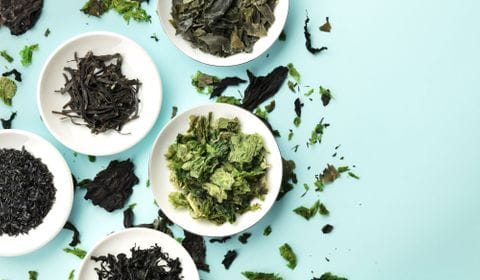 Les algues : quels bienfaits pour la santé ? 2 Image d'illustration © DR