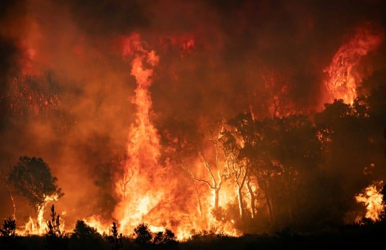 Un feu de forêt dans la région de Chefchaouen, le 15 août 2021 dans le nord du Maroc © AFP