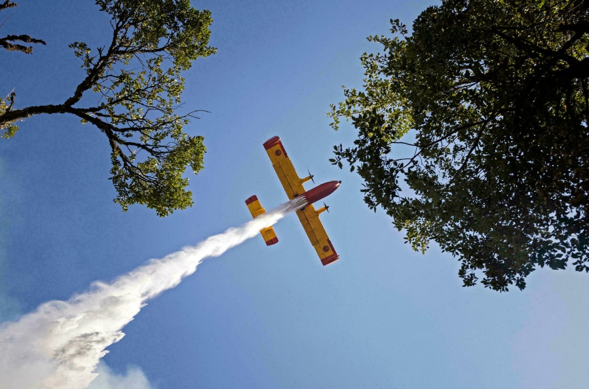 Incendie à Mellaliyine : un important dispositif est déployé pour maîtriser les flammes