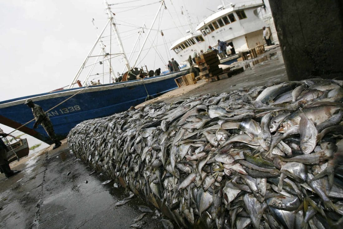 Faut-il manger moins de poisson ? 2 Deux chalutiers chinois dans le port d’Abidjan (Côte d’Ivoire) en 2007 © KAMBOU SIA / AFP