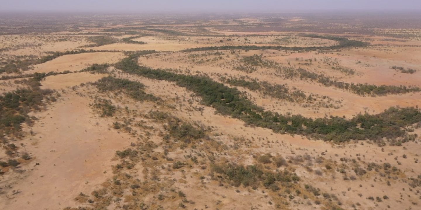Une Grande Muraille verte pour arrêter le désert © Le Monde
