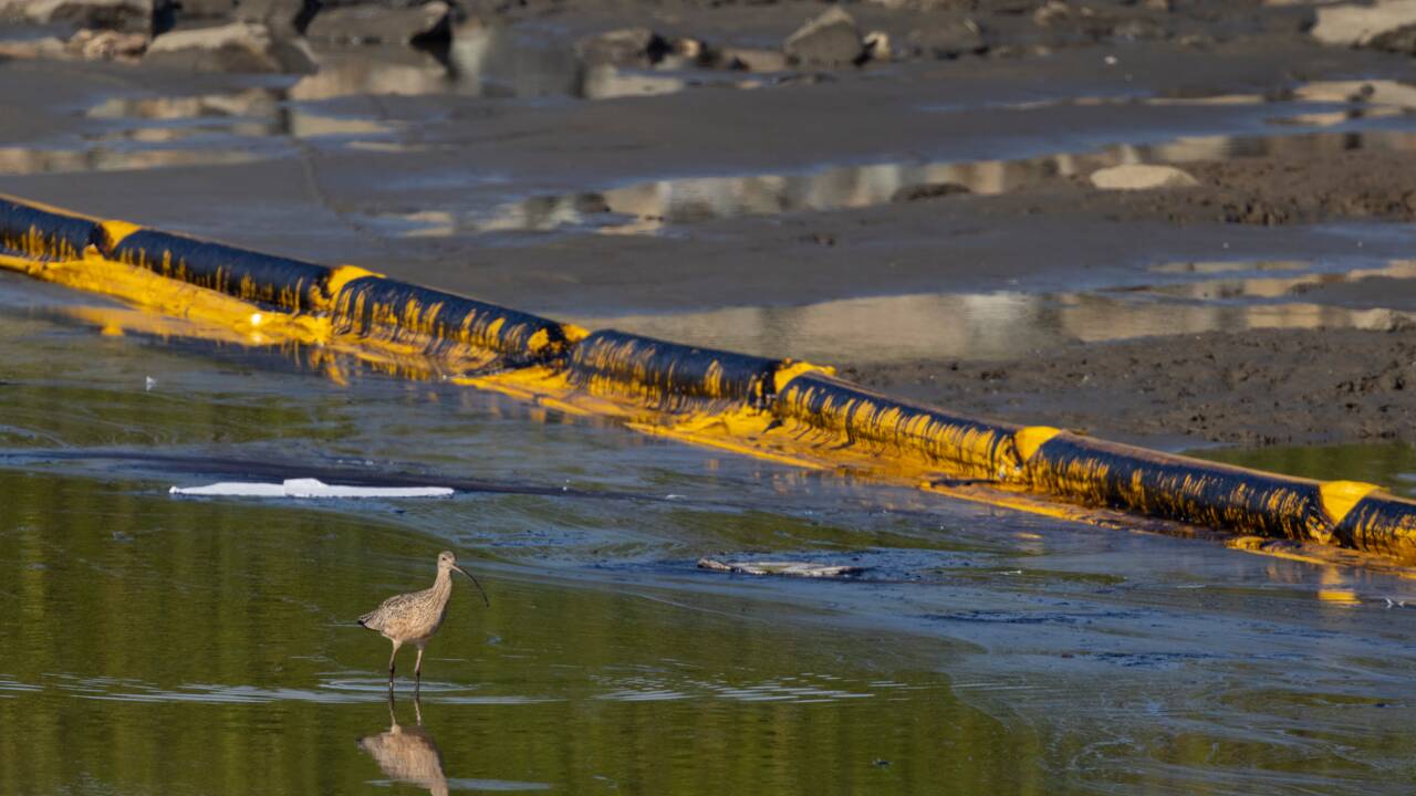 USA : l’ancre d’un bateau serait à l’origine de la marée noire de la Californie