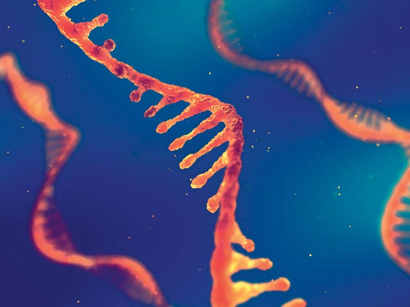 Comment l'ARN peut changer l’histoire de la médecine 