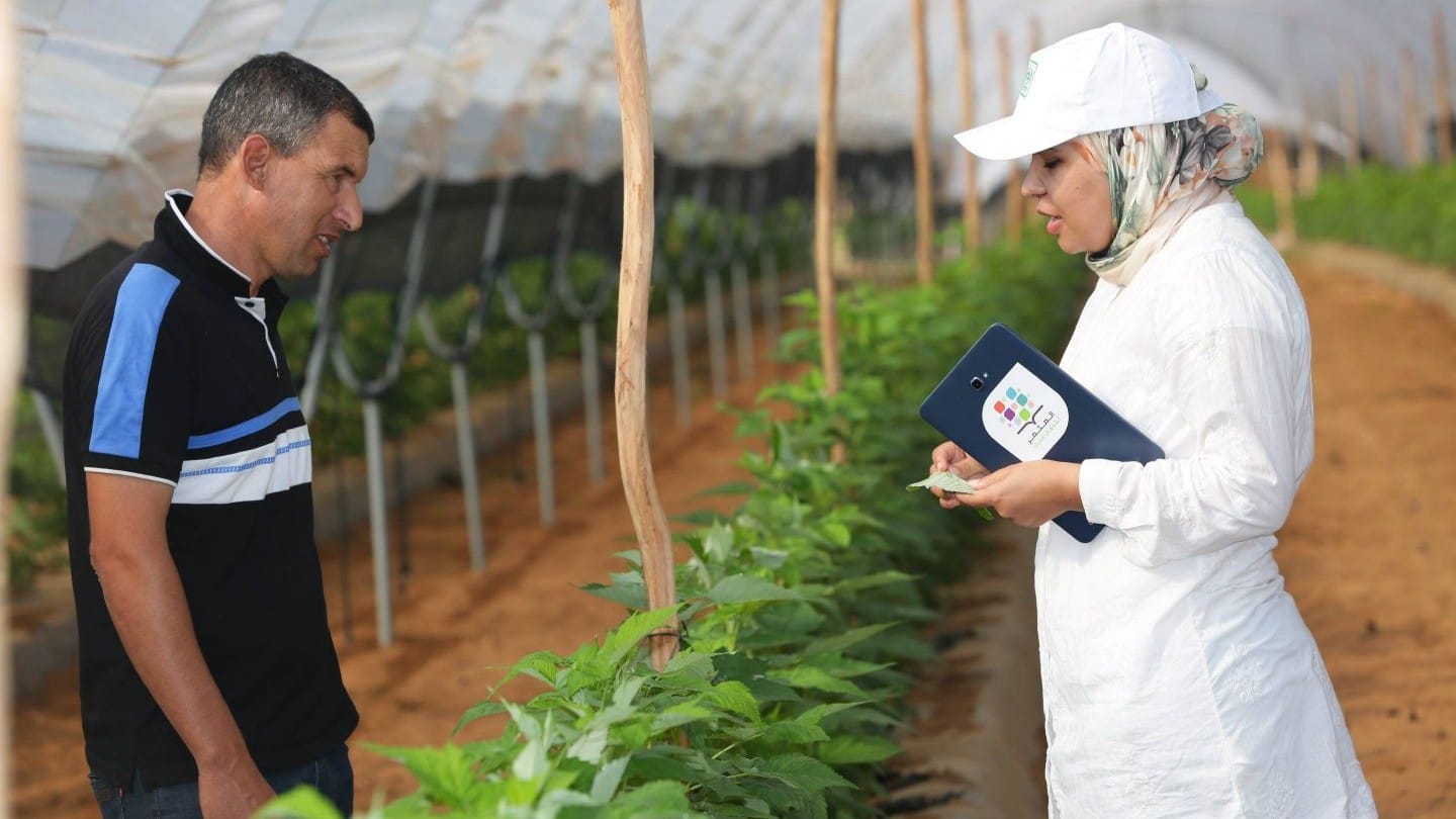 Al Moutmir : une révolution agricole durable