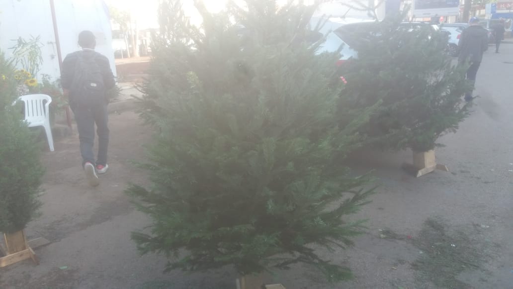 Noël : des origines à nos jours 3 maarif