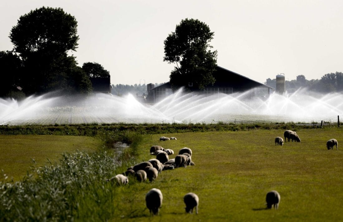 Pays-Bas : vers des fermes plus durables ?