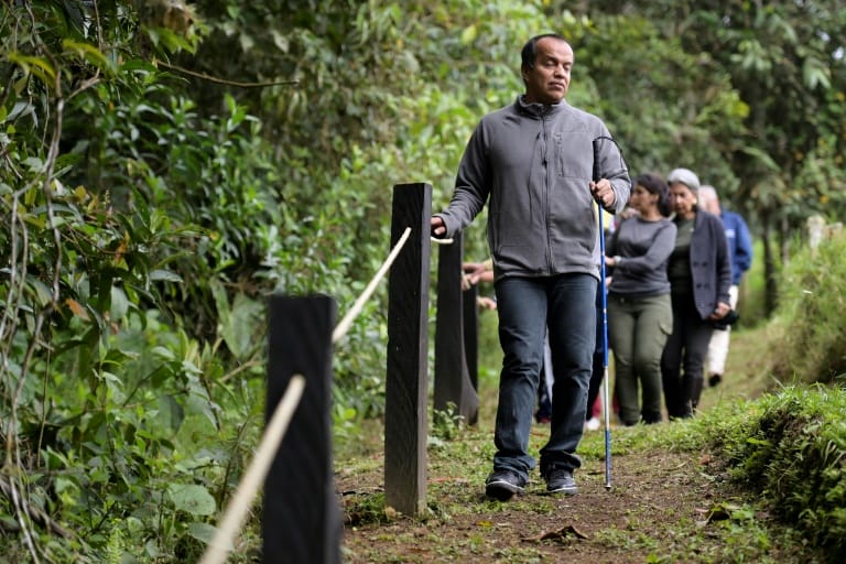 Colombie : des “chemins sonores” pour voir les oiseaux 