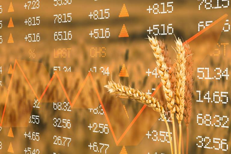 Guerre en Ukraine : quel impact sur l’économie du Maroc