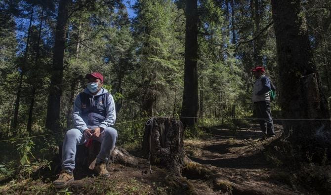 Mexique : 30 défenseurs de l’environnement tués en 2020