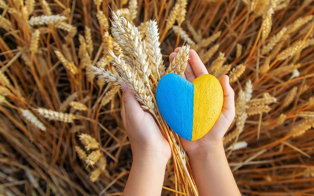 Guerre en Ukraine : les experts craignent les famines dans les pays du Sud 2 Guerre en Ukraine : les experts craignent les famines dans les pays du Sud