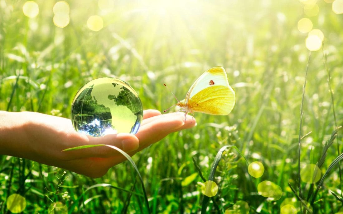 Climat : le Giec appelle à "la révolution" pour sauver la planète 2 Solutions climatiques : le rapport du Giec appelle à