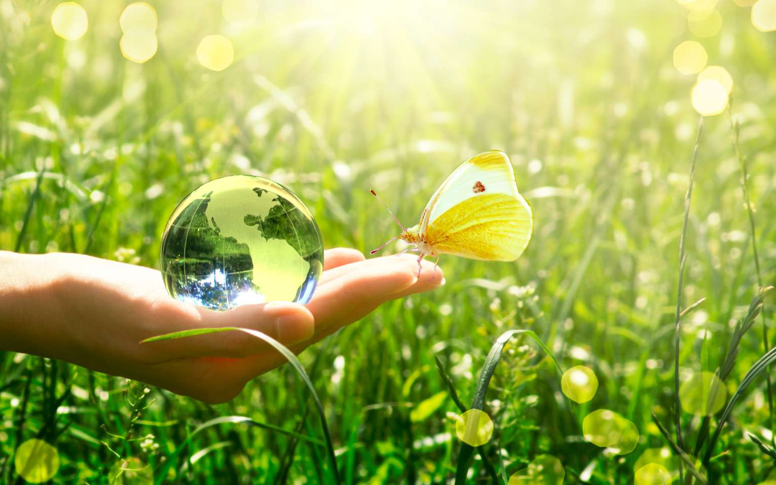 Solutions climatiques : le rapport du Giec appelle à "la révolution pour sauver" la planète