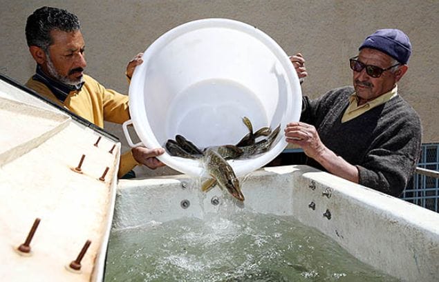 ANDA : appel à manifestation d’intérêt pour le développement de projets d’aquaculture marine 2 Appel à manifestation d’intérêt pour le développement de projets d’aquaculture marine (ANDA) © MAP