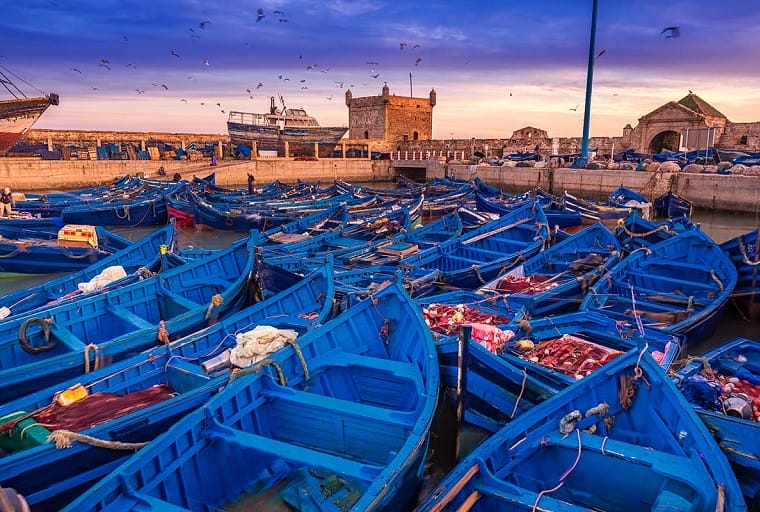 Essaouira : un modèle de coexistence 2 Tourisme : plus de 15.000 Israéliens sont arrivés au Maroc pour célébrer la Pessah