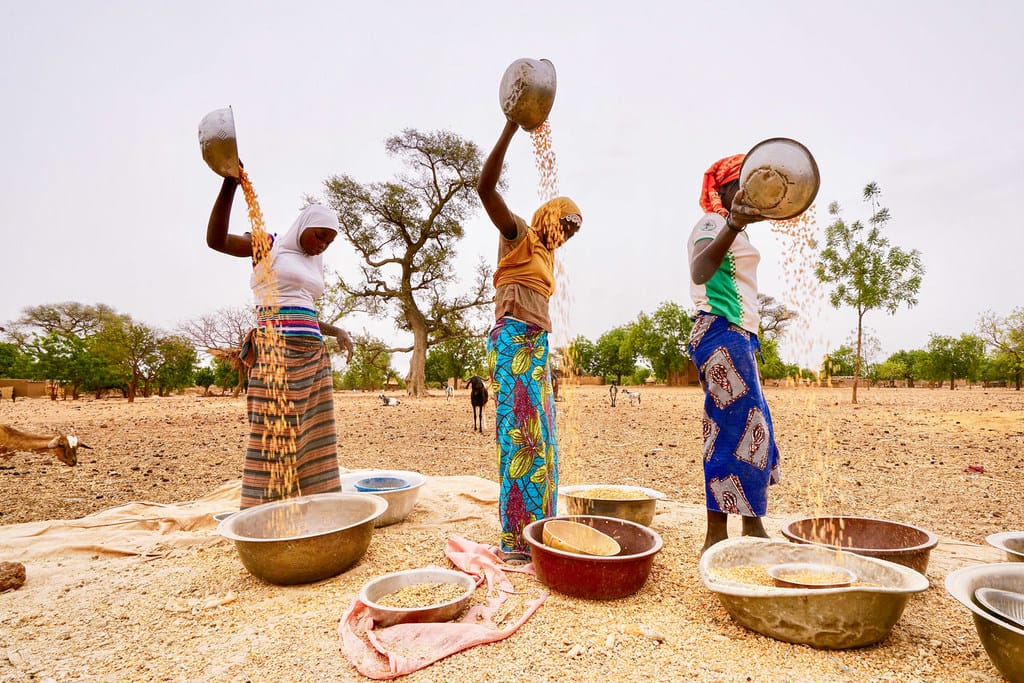 Afrique de l'Ouest : comment en finir avec l'insécurité alimentaire? 2 Afrique de l'Ouest: comment en finir avec l'insécurité alimentaire?