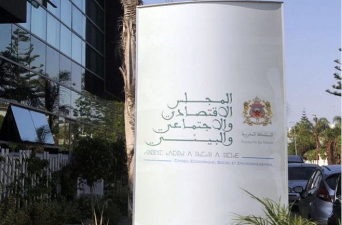 Le Conseil économique, social et environnemental (CESE) © DR