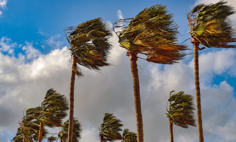 Alerte météo : des vents forts prévus à partir du vendredi