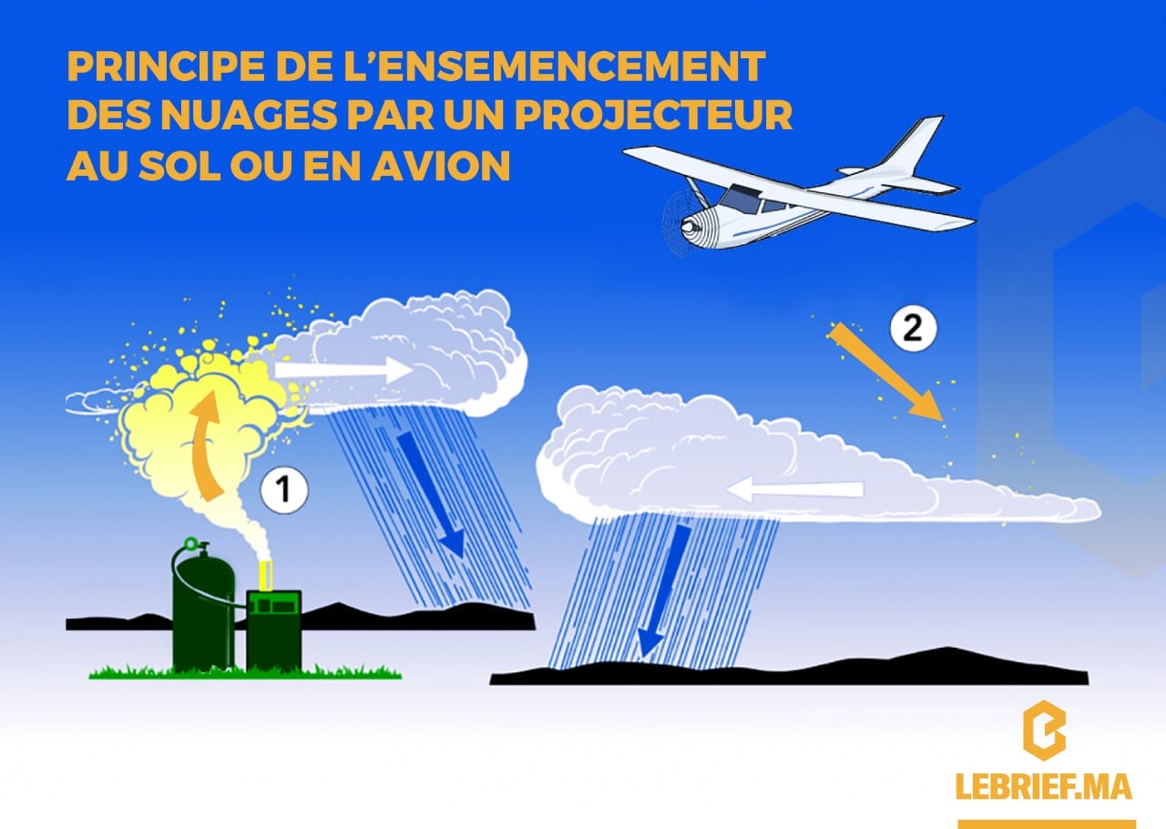 infographie