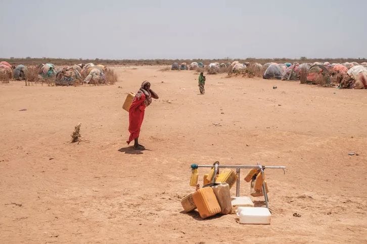En Éthiopie, une sécheresse sans précédent ravage la vie des nomades