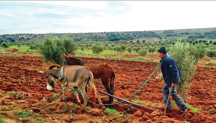 Campagne agricole 2021/2022: les points à retenir ©DR