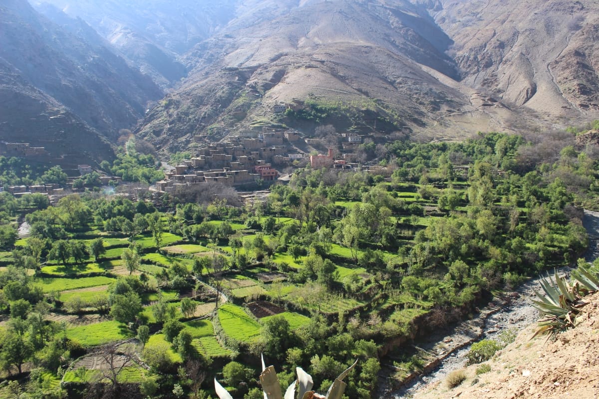 AESVT Maroc : lancement le 20 mai de la "Semaine Biodiversité" à Dayet Roumi