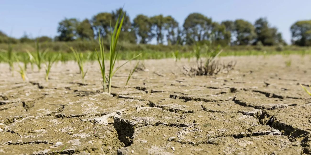 Crise de l'Eau : une lutte contre la sécheresse et le changement climatique