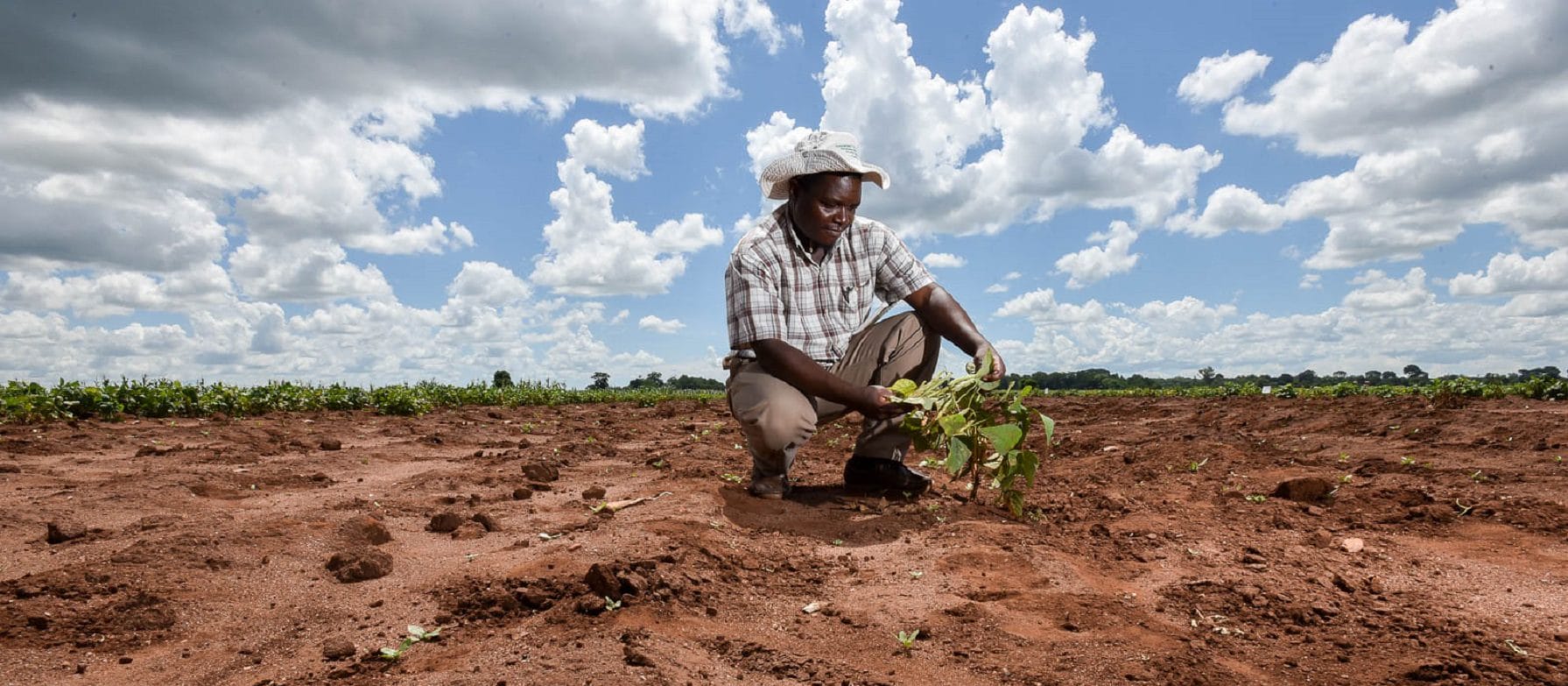 Agriculteur africain