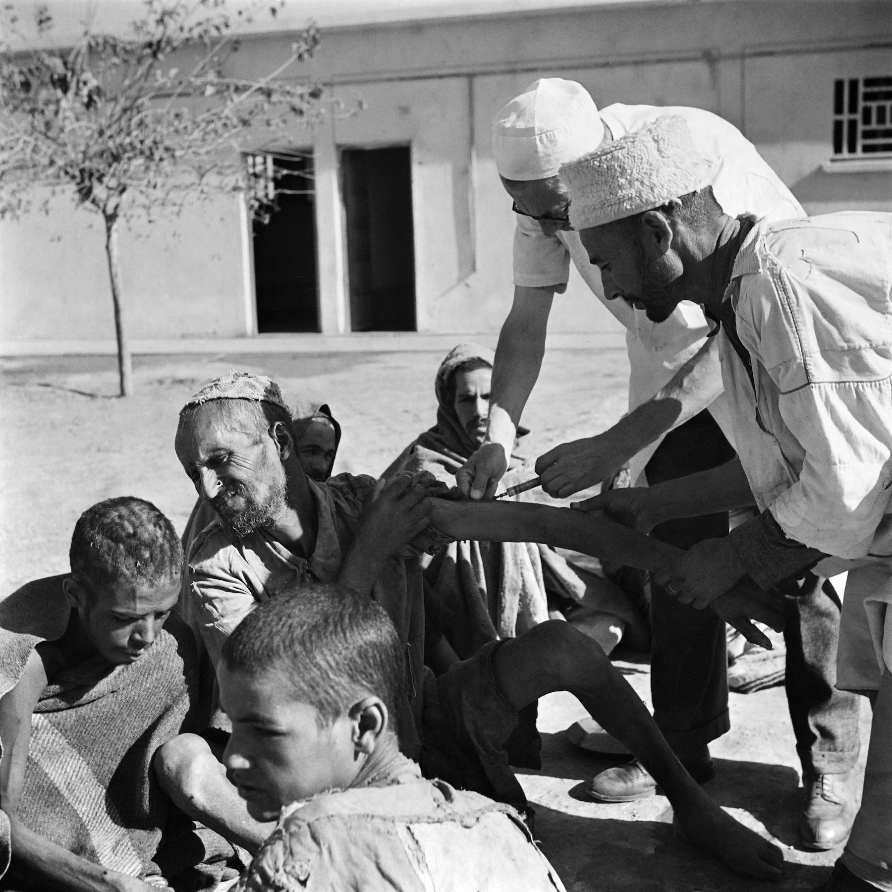 vaccination typhus maroc