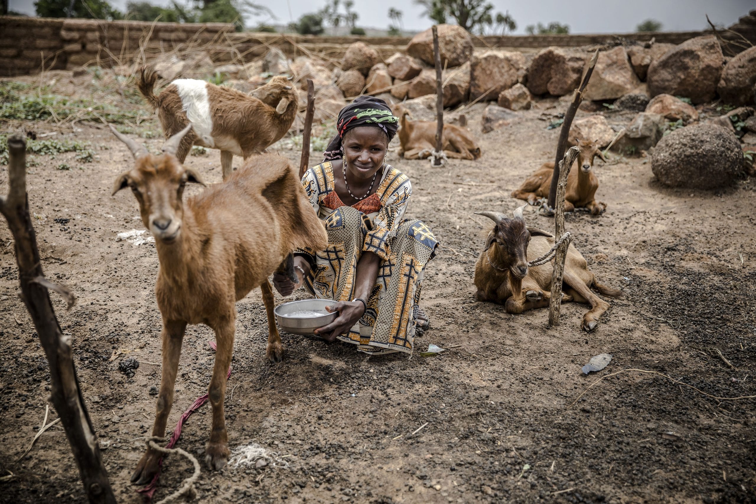 Niger : préoccupations croissantes pour la sécurité alimentaire