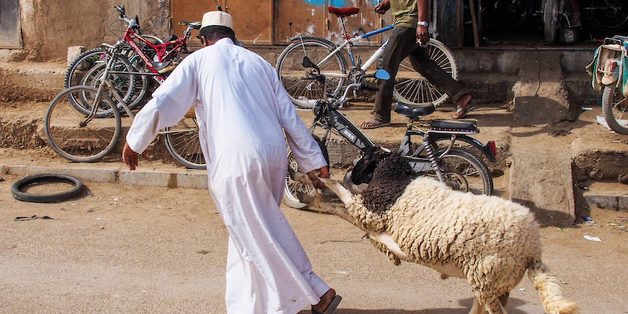 Aïd Al-Kabir : des moutons plus chers et des consommateurs inquiets