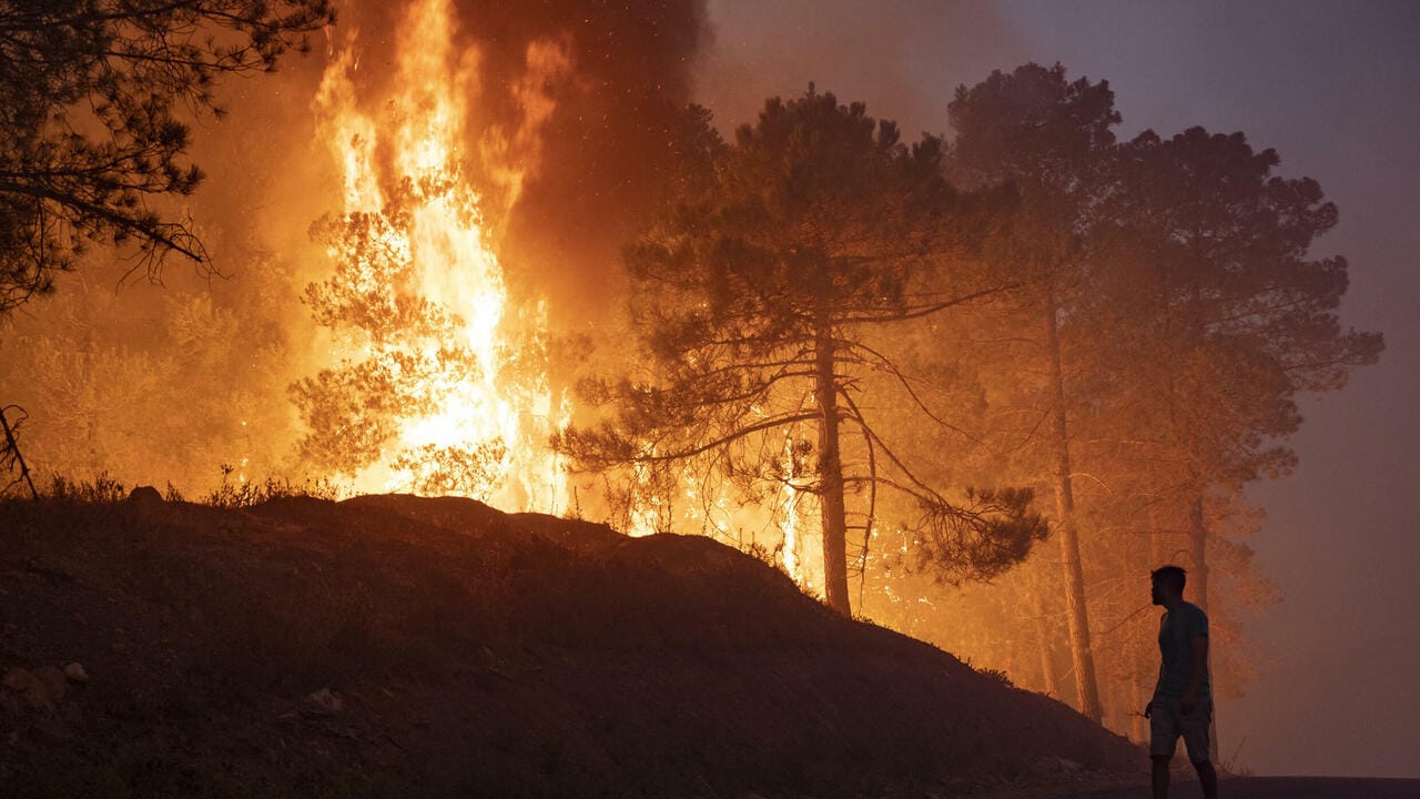 Feux de forêts à Chefchaouen