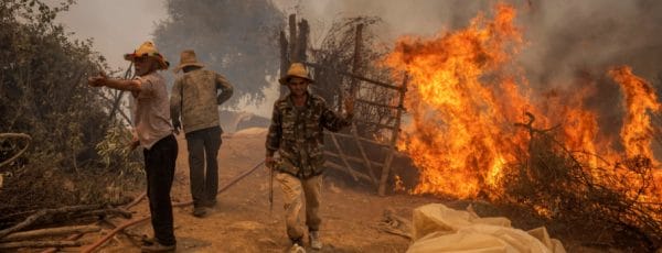 Le nombre d'incendies de forêts en baisse