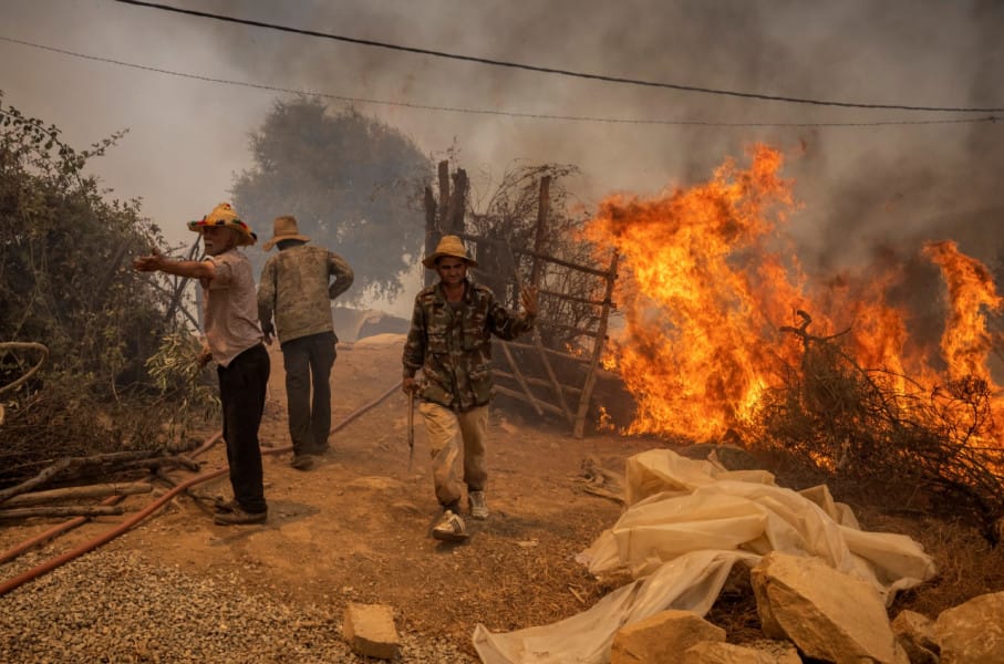 Le nombre d'incendies de forêts en baisse