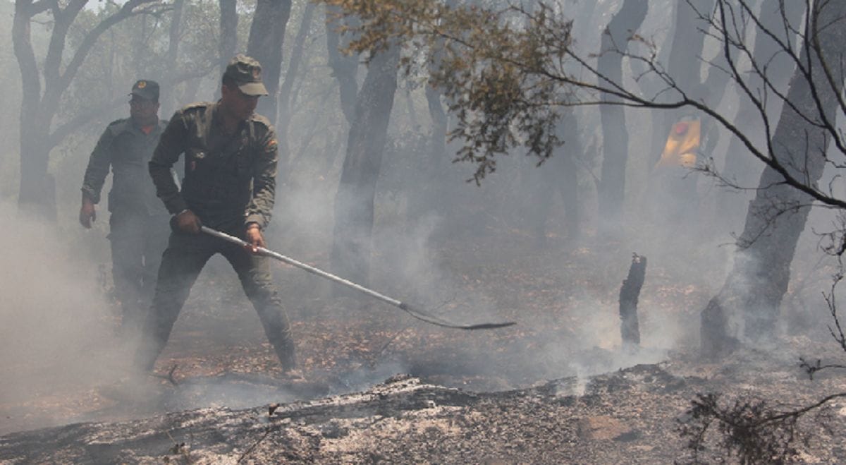 Poursuite des efforts à Larache pour la maîtrise de l’incendie à la forêt de "Bouhachem Jbel El Alam" © MAP