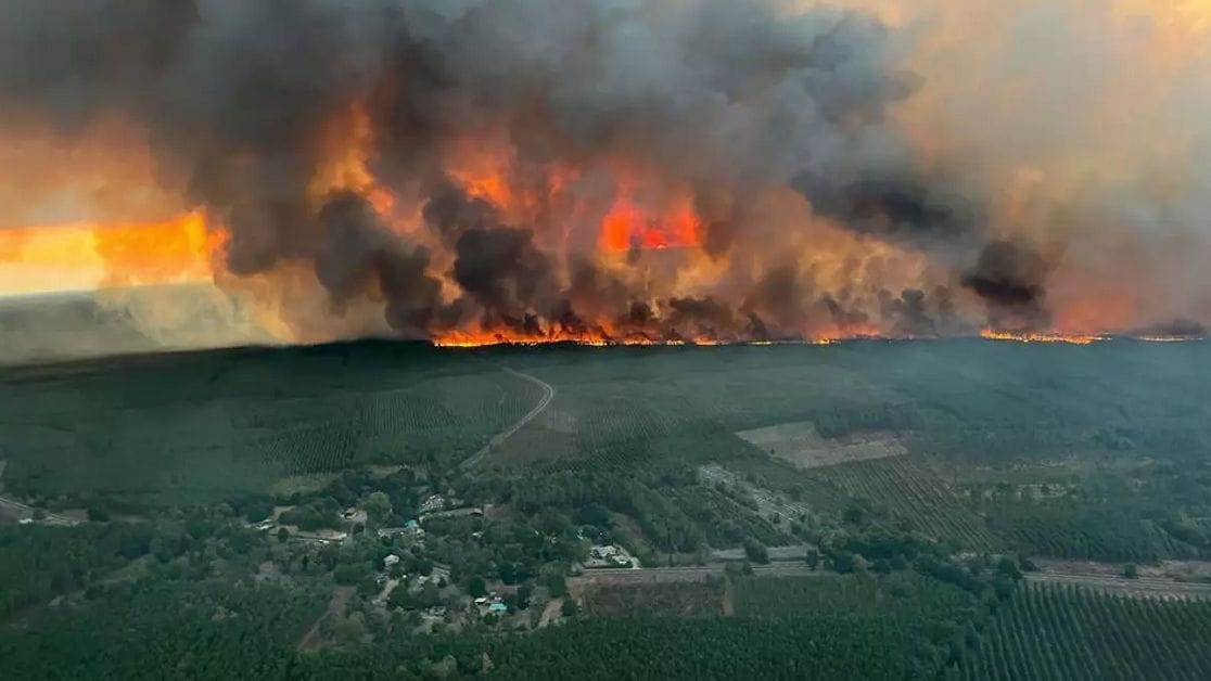 Canicules, sécheresse et incendies : un été historique