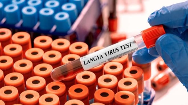 Des dizaines de cas de Langya, le nouveau virus détecté en Chine