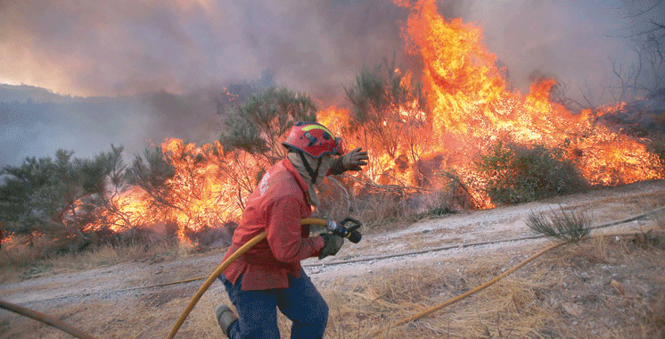 Incendies-de-forets-LQ