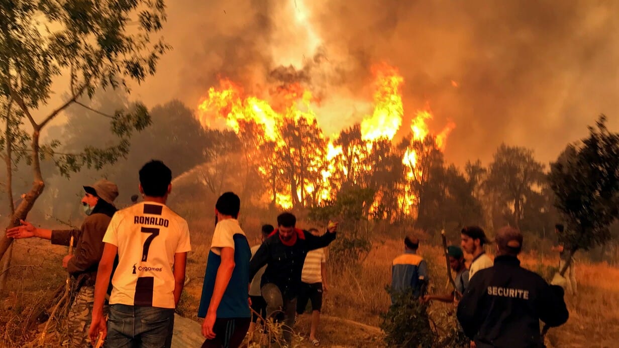 Feux de forêt en Algérie : Au moins 38 morts recensés ce jeudi