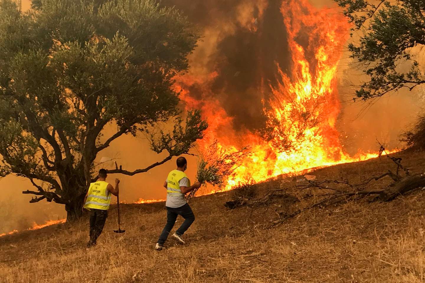 Incendies en Algérie