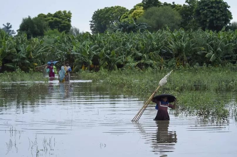 Inondations au Pakistan : plus de 900 morts depuis le mois de juin