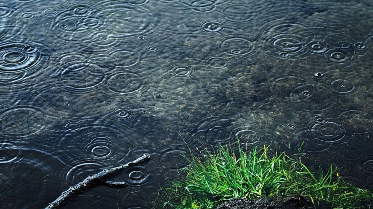 Pourquoi la pluie a-t-elle une odeur agréable en été ?